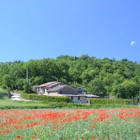 Casa Nestore